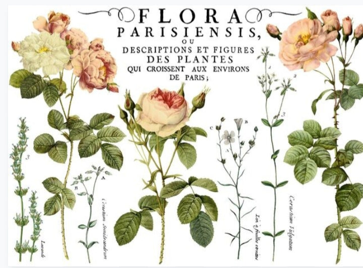 Floral Parisiensis 24x33 Decor Transfer